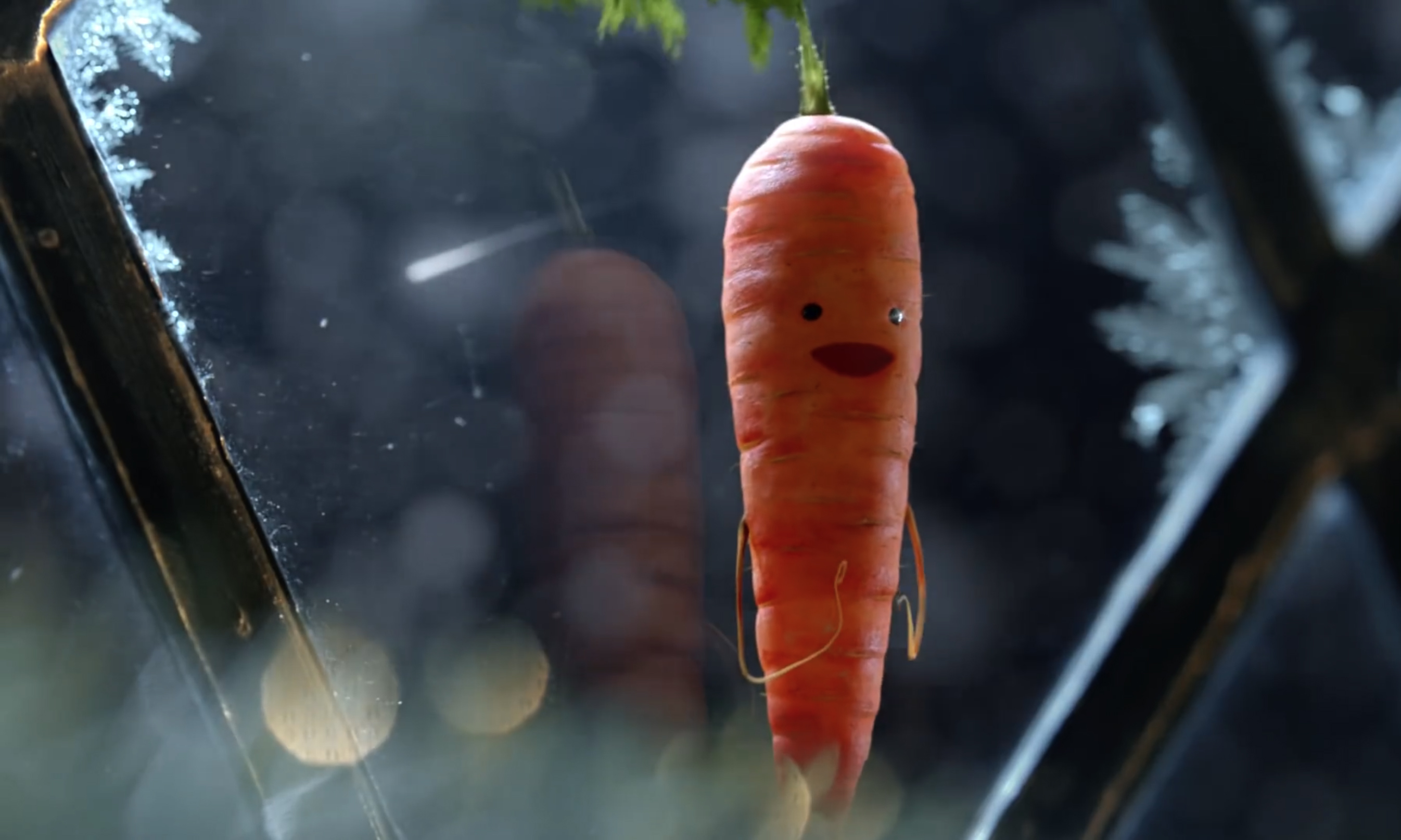 aldi_kevin_the_carrot